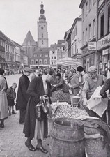 Oels/ Olesnica- Gemüsemarkt
