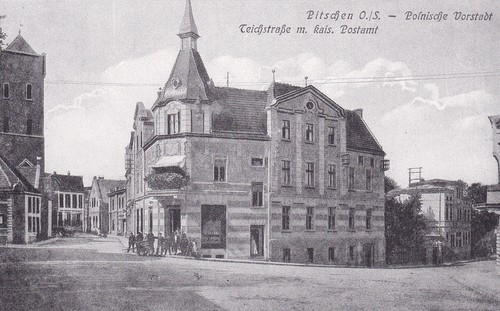 Pitschen byczyna die - byczyna-,