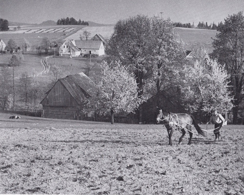 Bobischau boboszów bauer - bobischau/,