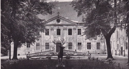 Schloß triebusch trzebosz - schloß, triebusch/