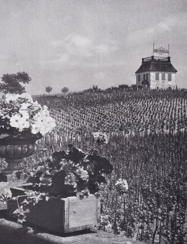 Grünberg zielona góra - grünberg/,